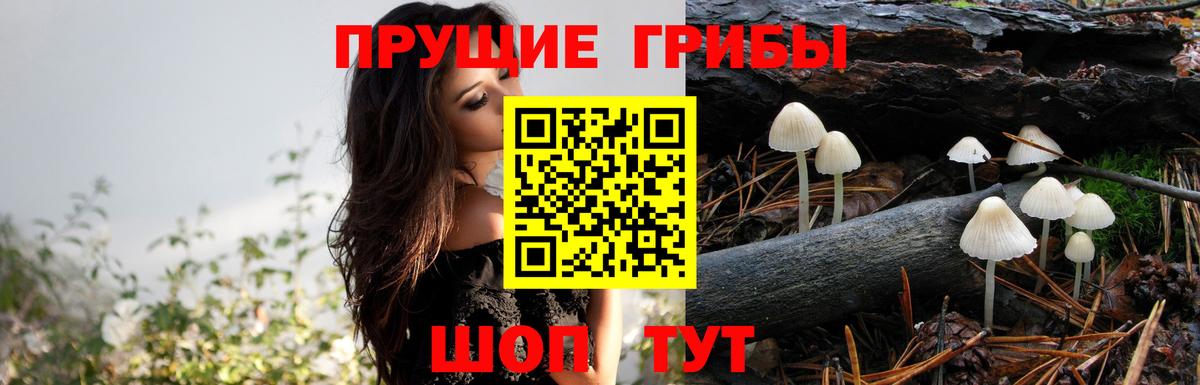 Галлюциногенные грибы мицелий  Вход с VPN  Щёлково 