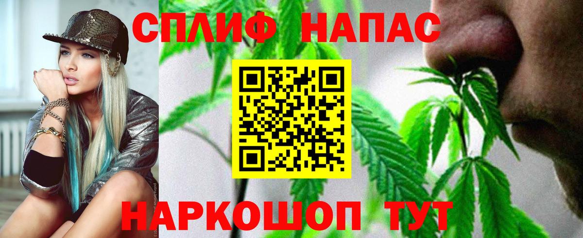 Конопля конопля  Вход с VPN  Щёлково  Шишки марихуана планчик 